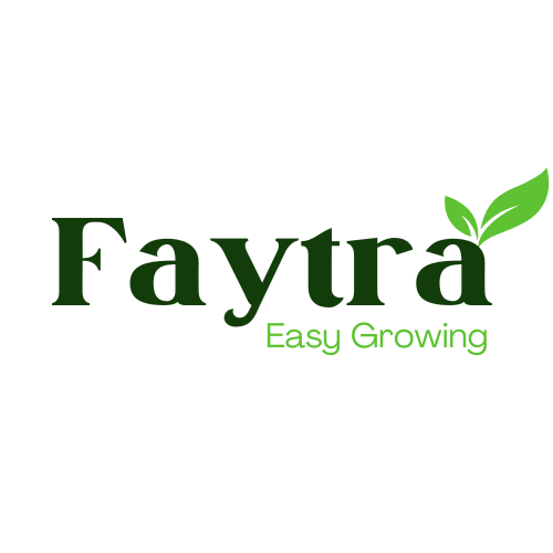 Faytra