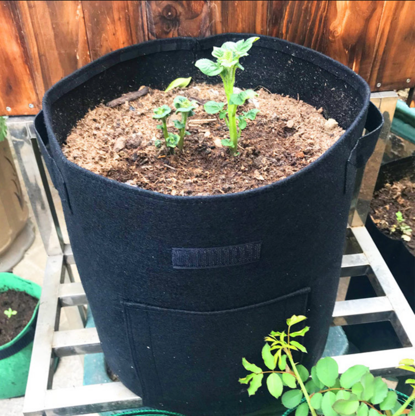 TaterTote™ Felt Potato Grow Bags